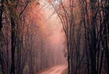 欧洲足球赛场燃情开场，胜负将揭晓！