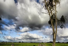 风雨飘摇的“大观”：内部矛盾浮现，球员心态如何安放？