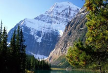 雄鹿新援临危受命，终结“垃圾时间”阴霾，球队迎来稳定之光