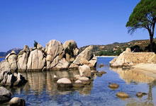 雄鹿新援临危受命，终结“垃圾时间”阴霾，球队迎来稳定之光