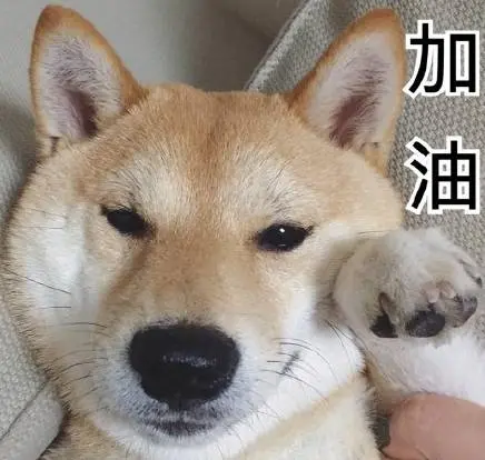 竞技场上情绪高涨！球迷期待看好戏的简单介绍